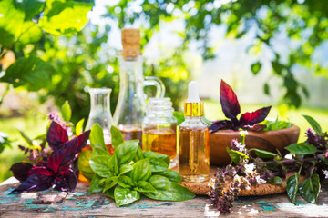 Oil for skin care, massage from natural ingredients, herbs, mint in glass jars and test tubes on a green background in the garden on the nature, natural cosmetics - obrazy, fototapety, plakaty