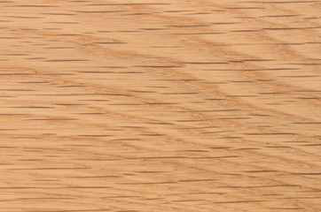 Fototapeta premium background of Ash wood on furniture surface