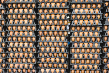 Eggs in the black plastic package