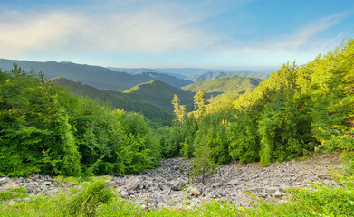 Fototapeta na wymiar Panoramic view to the Rhodope mountain forest - Greece