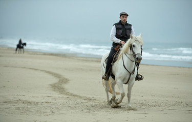 riding man and horse