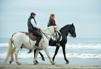riders and horses