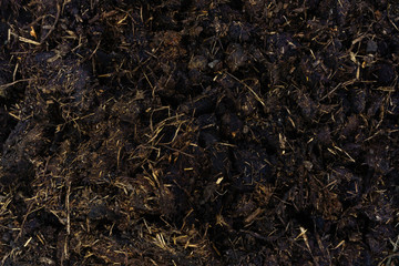 Brown texture of the manure for fertilizing