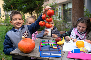 Fototapeta premium Group child doing homework. - Image