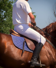 horse close up with unknown rider under leather saddle
