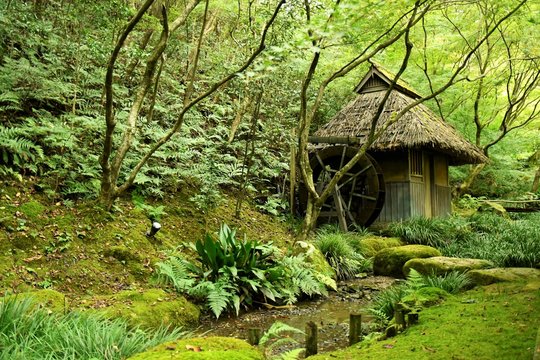 水車小屋と日本庭園」の写真素材 | 480件の無料イラスト画像 | Adobe Stock