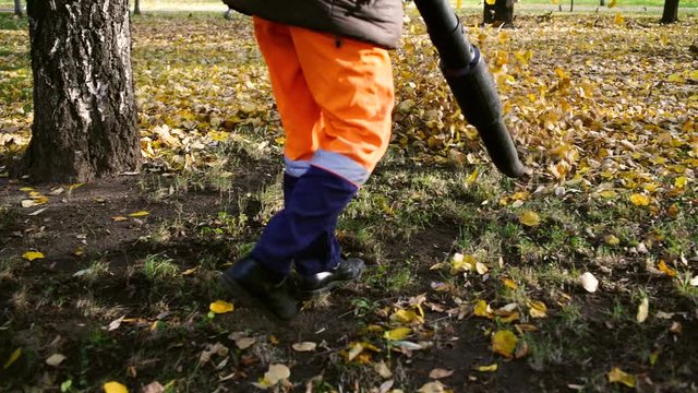 Worker blowing leaves in autumn park