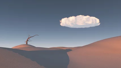 Verwelkter Baum in Zen-inspirierter Wüstenlandschaft © rolffimages