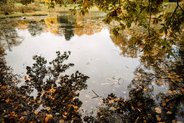 view of beautiful lake in the autumn evening