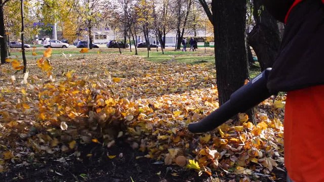 Worker blowing leaves in autumn season slow motion