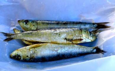 Sardines salées.