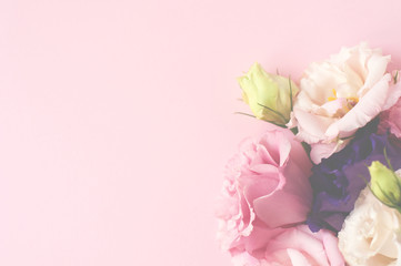 Beautiful pink, purple and white eustoma flower (lisianthus) in full bloom with green leaves. Bouquet of flowers on pink background. Flat lay.