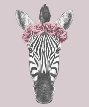 Portrait of Zebra with floral head wreath. Hand drawn illustration. Vector isolated elements.