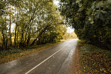 beautiful country road, rural road in autumn afternoon