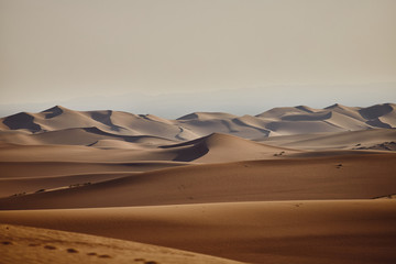 Sands Hongoryn Els in the Gobi Desert, Mongolia