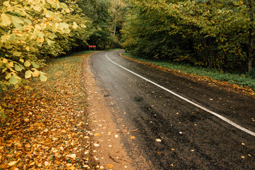 beautiful country road, rural road in autumn afternoon