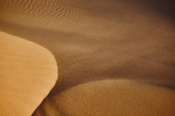 Sands Hongoryn Els in the Gobi Desert, Mongolia