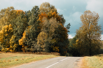 beautiful country road, rural road in autumn afternoon