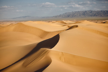 Fototapeta na wymiar Sands Hongoryn Els in the Gobi Desert, Mongolia