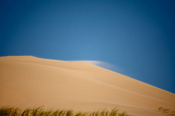 Sands Hongoryn Els in the Gobi Desert, Mongolia