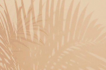 Światło i cień zieleni liście, palmowy liść na piaska koloru grunge ścianie betonują tło Sylwetki mieszkania nieatutowego abstrakcjonistycznego tropikalnego liścia lata naturalna deseniowa tekstura z kopii przestrzenią Miękki wizerunku tło. - 297539451