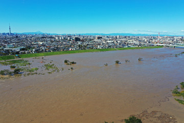 台風で増水した江戸川