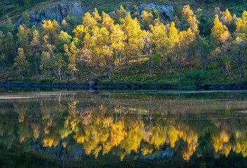 Fall Lofoten, Norway