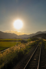 ローカル線と夕日に照らされるススキ