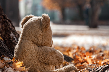 sitting under a tree in fallen foliage, a teddy bear looks at the autumn city.