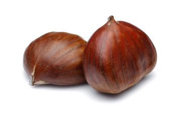 Chestnuts isolated on white background