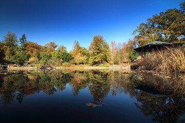 WROCLAW, POLAND - OCTOBER 18, 2019: Japanese Garden is situated in the vicinity of the historical...
