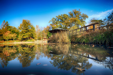 WROCLAW, POLAND - OCTOBER 18, 2019: Japanese Garden is situated in the vicinity of the historical...