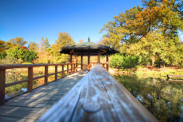 WROCLAW, POLAND - OCTOBER 18, 2019: Japanese Garden is situated in the vicinity of the historical...