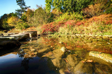 WROCLAW, POLAND - OCTOBER 18, 2019: Japanese Garden is situated in the vicinity of the historical...