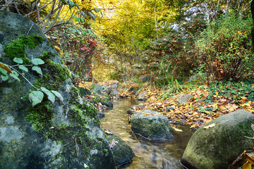 WROCLAW, POLAND - OCTOBER 18, 2019: Japanese Garden is situated in the vicinity of the historical...