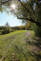 Obraz premium Autumn colors along the hiking trail. Afternoon sun shining through the trees
