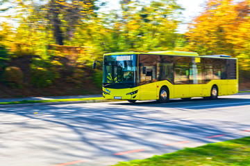 Public transport yellow bus - obrazy, fototapety, plakaty