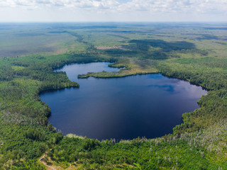 Fototapeta na wymiar Large round forest lake, aerial view, aerial view