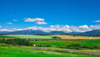 Fototapeta na wymiar Beautiful summer landscape with the road against Tatra mountains, Slovakia