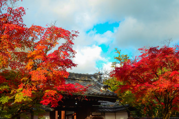 Autumn Color at Kiyomizu-dera Temple in Kyoto, Japan