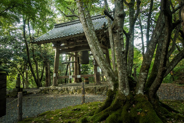 滋賀県、湖東三山の百済寺の鐘楼と千年菩提樹です