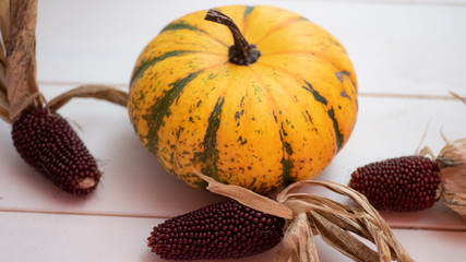 Autumn Pumpkin with red corn on the side, white wooden background.