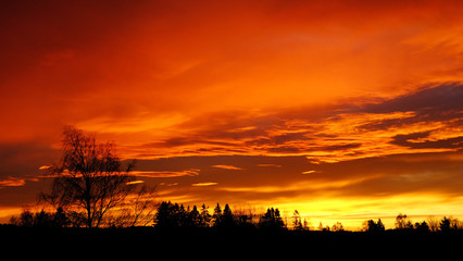 Trees and clouds at sunrise, Drobak, Norway
