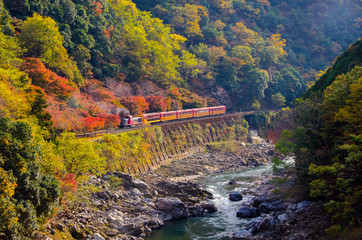 beautiful mountain view in autumn season with sagano scenic railway or romantic train