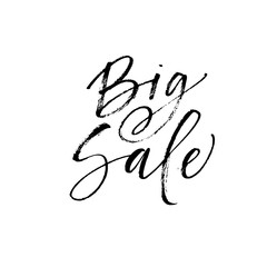 Big sale phrase. Hand drawn brush style modern calligraphy. Vector illustration of handwritten lettering. 