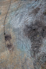 wood texture background surface with old natural pattern.  long walnut planks texture background.