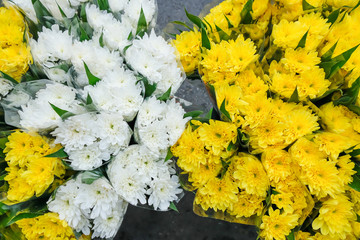 Top view of fresh blossoming carnations.