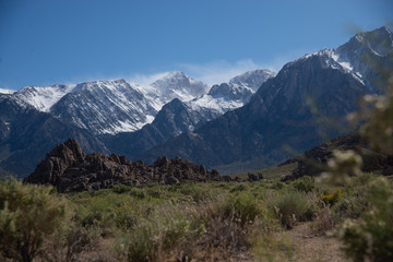 Fototapeta premium Lone Pine White Mountains in the back