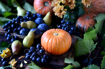 Naklejka na ściany i meble Autumn still life: pumpkins, grapes, pears on a dark background