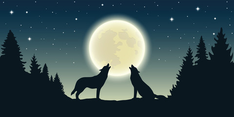 two wolves howl at the full moon in forest landscape vector illustration EPS10 © krissikunterbunt